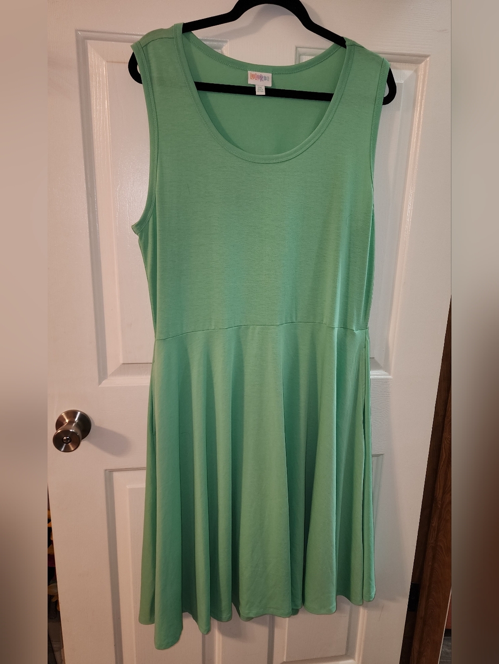 LuLaRoe Mint Green Nicki Dress